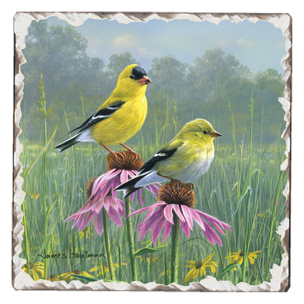 Yellow Birds Stone Coaster